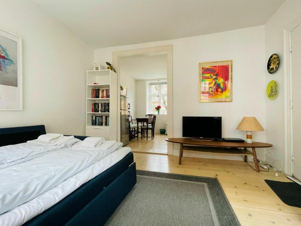 ApartmentInCopenhagen Apartment 200 Image 11
